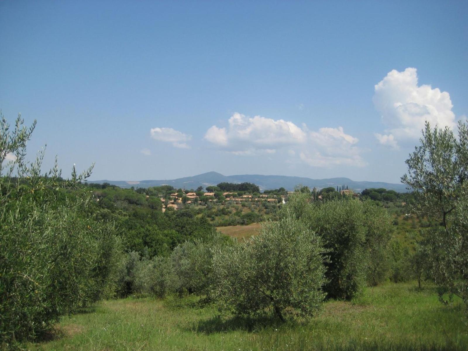 Il Borgo Centro Vacanze 瓜尔迪斯塔洛 外观 照片