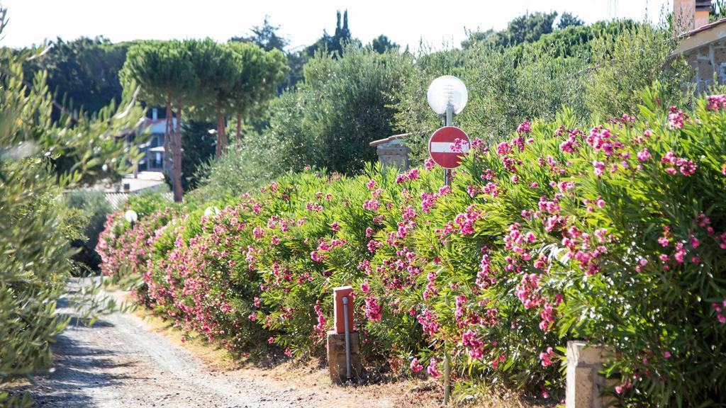 Il Borgo Centro Vacanze 瓜尔迪斯塔洛 外观 照片